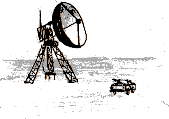 Carefully approach the car and try to evaluate the situation