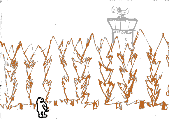 Can you see the tower already?