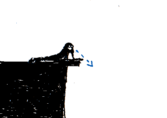 Can you see anything intersting from up there?